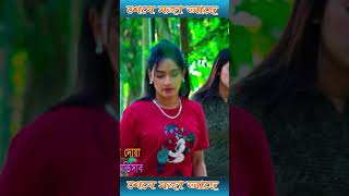 289newbanglanatok2024 shortvideo reels viralvideo [upl. by Nitfa]