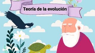 Teoría de la evolución Explicaciones de Darwin [upl. by Saundra]