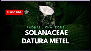 Practical DHATURA PLANTBiology NEETEducation Padhai Likhai Zone [upl. by Mini930]