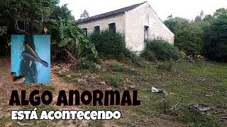 ALGO MISTERIOSO ESTA ACONTECENDO LÁ DENTRO PÓS SER ABANDONADA 😳 [upl. by Ponzo302]