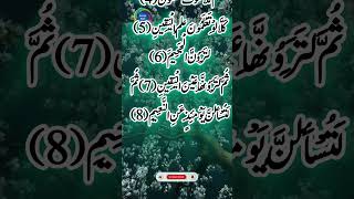 Surah Takasur recitation Holy Quran shortsfeed [upl. by Giraud95]