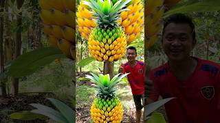 Survival Skills grafting Pineapple Fruit Banana fruit survival fruit banana Pineapple shorts [upl. by Xena383]