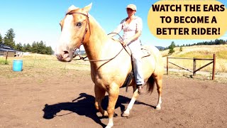 HOW TO IMPROVE YOUR HORSEMANSHIP [upl. by Yennek]