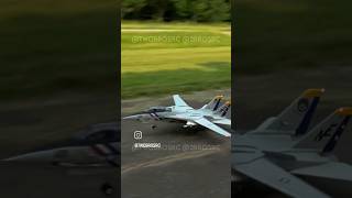 F14D Super Tomcat Touch amp Go aviation rc rcplane [upl. by Elly]