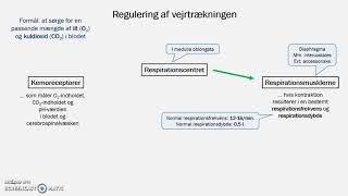 Regulering af vejrtrækningen [upl. by Wolgast917]