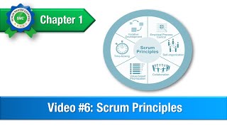 Scrum Principles [upl. by Luo645]