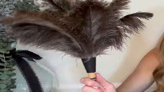 Dusters Killer Ostrich Feather Dusters Dusters Killer Mini Duster Review [upl. by Brock513]