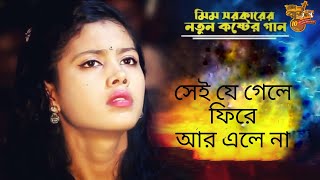 সেই যে গেলে ফিরে আর এলে না। বিচ্ছেদ গান। sei je gale fire ar ale na viral song baul মীম সরকার। [upl. by Sivet275]