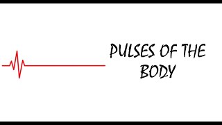 Palpatory pulses of entire body [upl. by Normalie]