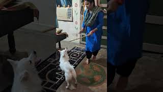 R9cky dance with mummy vlog minivlog [upl. by Liborio]