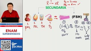 BANCO COMENTADO  GINECOLOGÍA [upl. by Laurice]