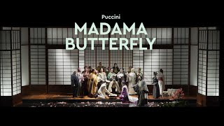 Madama Butterfly  TEASER [upl. by Atirehs812]