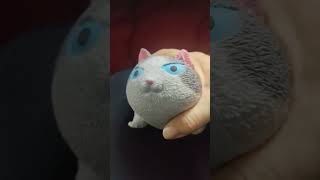 squidgy cat chat mou toy [upl. by Atinet]