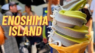 LIFE IN JAPAN Discover Fujisawa we ate white bait fish ice cream for the first time PT1 [upl. by Latisha]