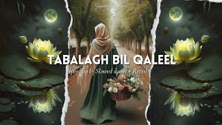 Tabalagh Bil Qaleel  Nasheed by Osman Al Safi  Speed up amp Slowed down  Reverb nasheed peace [upl. by Derina963]