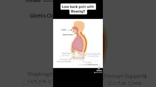 Low back pain with rowing get proper technique for rowing  without buttwink to row longer distance [upl. by Ambler]