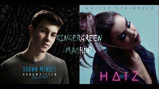 Never Be Alone With Hell Nos and Headphones  Shawn Mendes amp Hailee Steinfeld GINGERGREEN Mashup [upl. by Ricky]