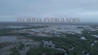 Everglades  MultiSpecies Fly Fishing in Southwest Florida [upl. by Veator]