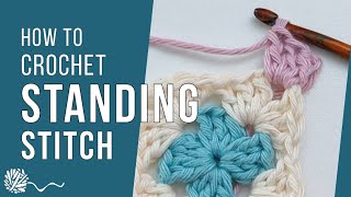 Standing Stitch  Neat Colour Change  Crochet Tutorial [upl. by Thomsen249]