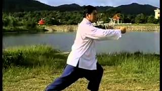 3 正宗楊氏85式太極拳傅清泉 Authentic Yang Style Taichi 85 Form Fu Qingquan [upl. by Yraeht]