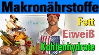 Makronährstoffe Eiweiß Kohlenhydrate Fett [upl. by Notniv]