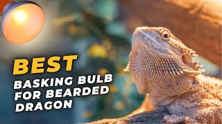 Best Basking Bulb for Bearded Dragon  Experts Choice for Reptiles [upl. by Panta]