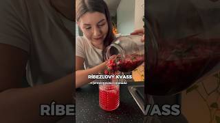 Ríbezle od Maminy  chutná limonáda 💚 recept kvass fermentacia zdravastrava [upl. by Tasiana]