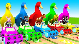 5 Giant Duck CartoonCowMammothTigerRabitMonkey Paint Wild Animals Crossing Fountain Animation [upl. by Hesler]