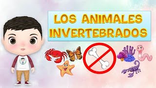 Los ANIMALES INVERTEBRADOS y su clasificacion para niños [upl. by Mharba198]