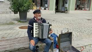 Street Accordion Player in a small town Mindelheim in Bavaria Germany1 [upl. by Lamhaj]