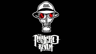 Psycho Realm  Stone Garden Dj rayg remix [upl. by Faun]