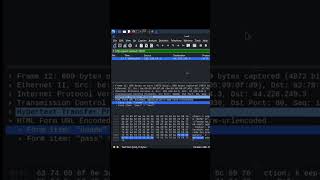 Wireshark Security Spotting Network Threats [upl. by Esinwahs]