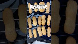 Ladyfinger Biscuits  Savoiardi Recipe ladyfingerrecipes savoiardi italiandesserts tiramisu yt [upl. by Eisoj]