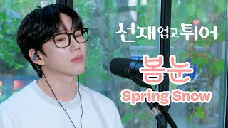 10CM  십센치  선재 업고 튀어 OST 봄 눈  Spring Snow [upl. by Yrian609]