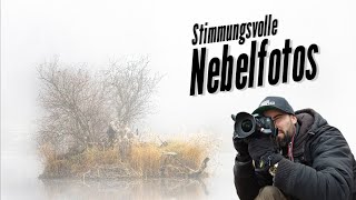 Landschaftsfotografie Stimmungsvolle Nebelfotos in der Lobau [upl. by Eirhtug]