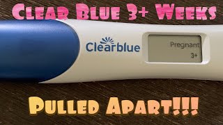 Live 3 Weeks clear blue digital Pregnancy test pulled apart  26DPO [upl. by Naiviv886]