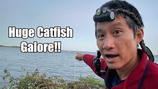 HUGE CATFISH Stacked beyond this Point Lake Mendota Fishing [upl. by Akyre]