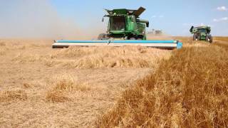 Harvesting lodged crops Shelbourne stripper front [upl. by Yesnyl]