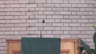 Hartzell United Methodist Church Live Stream  Chicago [upl. by Larrad838]