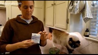 Probiotics for Cats  Purina Fortiflora Feline Nutritional Supplement Box [upl. by Houghton936]