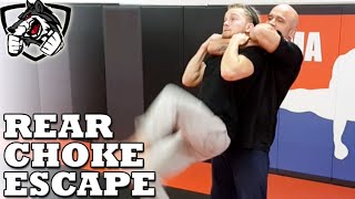 How to Escape a Standing Rear Choke w Bas Rutten [upl. by Riatsala]