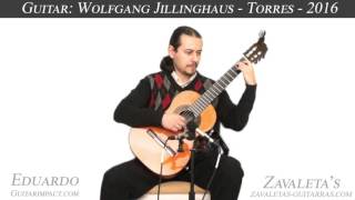 2016 Wolfgang Jellinghaus Model Torres FE 17 played Eduardo Costa [upl. by Ynohtnael]