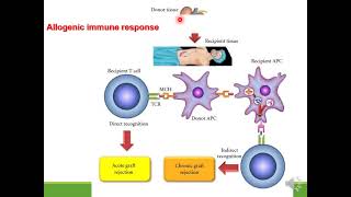 Immunosuppressive drugs [upl. by Dombrowski]