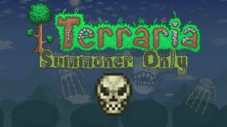 Terraria Summoner Only  Expert Skeletron [upl. by Eednam]