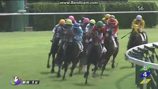 マリノトニトゥルス 2歳未勝利 大江原 比呂 [upl. by Lunsford]