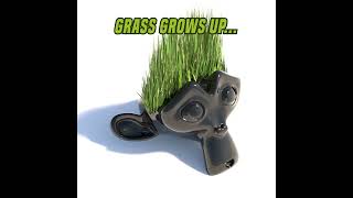 Grow grass simulation  Blender Geometry Nodes blender3d simulation geometrynodes [upl. by Eekorehc512]