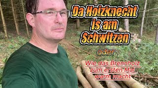 Hoizknecht am Schwitzen  Spillwinde von Eder beim Eschen rücken [upl. by Llirrem]