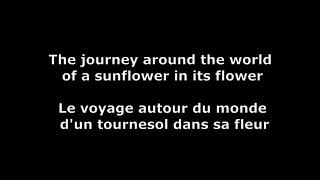 Les Moulins De Mon Coeur  EngFrench Lyrics [upl. by Acebber]