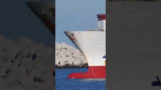 Shorts Amazing Safmarine Nakuru container ship [upl. by Ettelliw407]