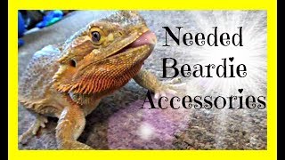 Needed Bearded Dragon Accessories [upl. by Lorrimor]